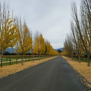 Meet your Posher, Judy